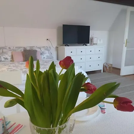 Apartment Dora Balatonszarszo